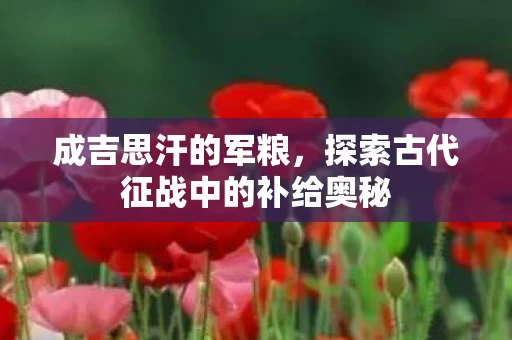 探索古代征战中的补给奥秘图片