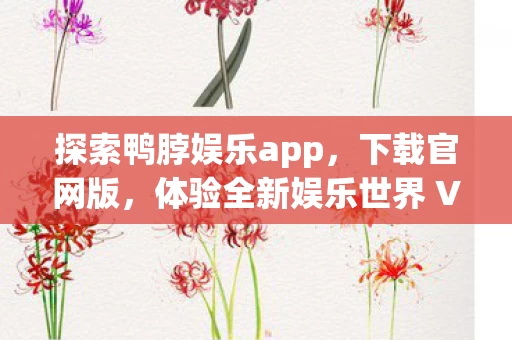 体验全新娱乐世界 V3图片