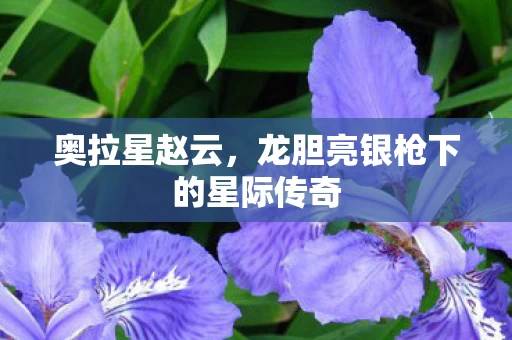 龙胆亮银枪下的星际传奇图片