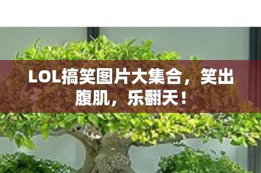 LOL搞笑图片大集合图片