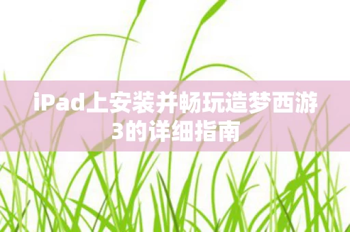 iPad上安装并畅玩造梦西游3的详细指南图片