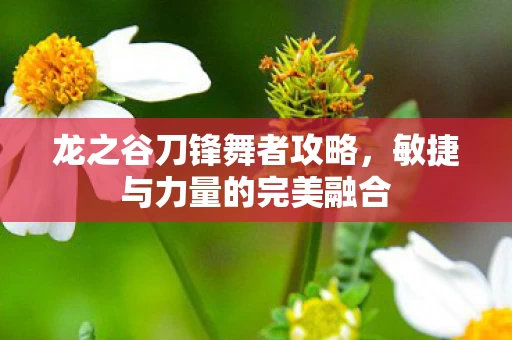 敏捷与力量的完美融合图片