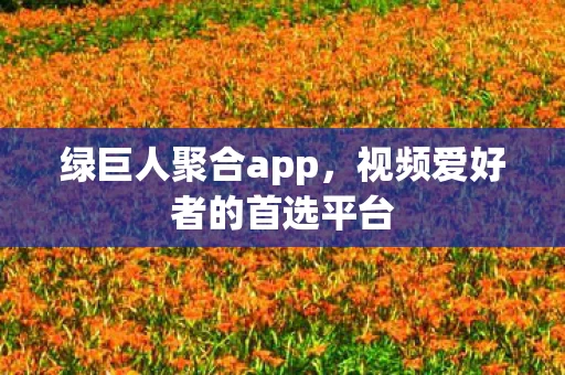 视频爱好者的首选平台图片
