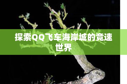 探索QQ飞车海岸城的竞速世界图片