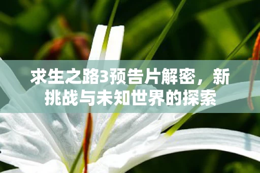 新挑战与未知世界的探索图片