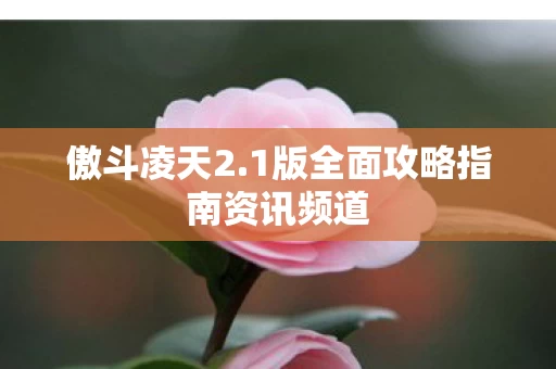 1版全面攻略指南资讯频道图片