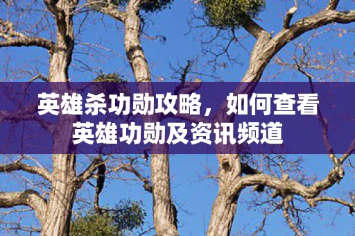 如何查看英雄功勋及资讯频道图片