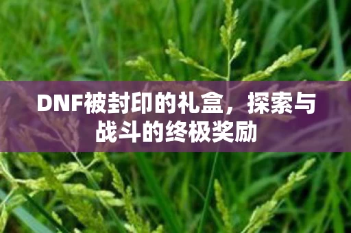 探索与战斗的终极奖励图片