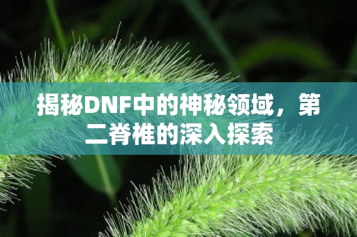 揭秘DNF中的神秘领域图片