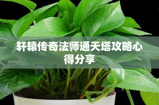 轩辕传奇法师通天塔攻略心得分享图片