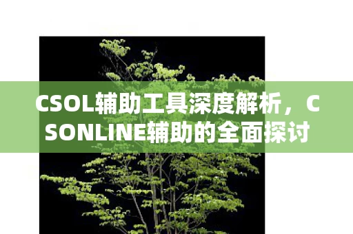 CSONLINE辅助的全面探讨图片