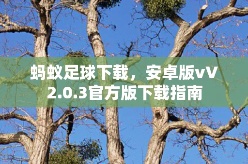 3官方版下载指南图片