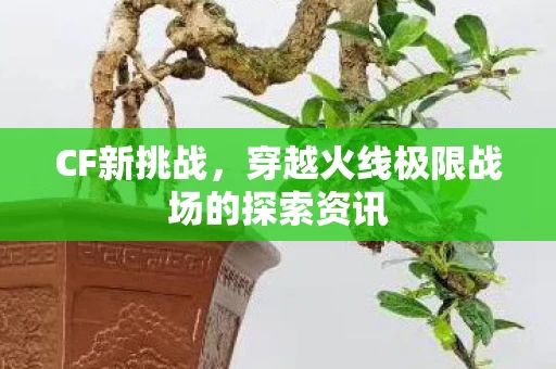 穿越火线极限战场的探索资讯图片