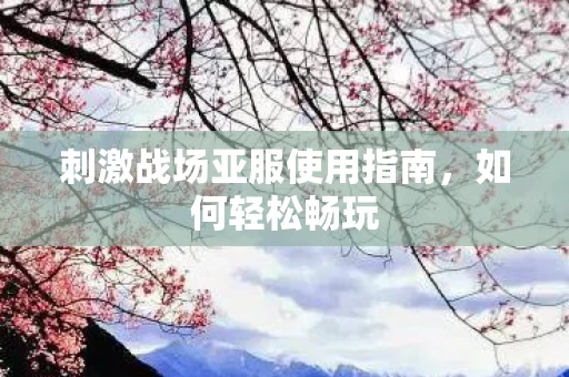 刺激战场亚服使用指南图片