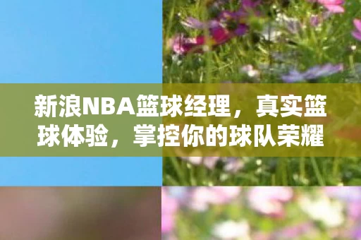 新浪NBA篮球经理图片