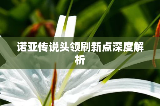 诺亚传说头领刷新点深度解析图片