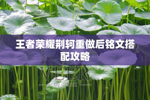 王者荣耀荆轲重做后铭文搭配攻略图片