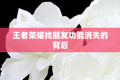 王者荣耀找朋友功能消失的背后图片