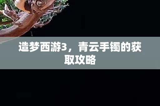 青云手镯的获取攻略图片
