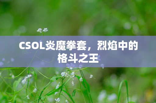 CSOL炎魔拳套图片