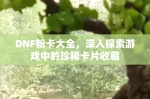 深入探索游戏中的珍稀卡片收藏图片