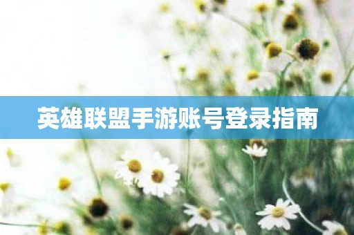 英雄联盟手游账号登录指南图片
