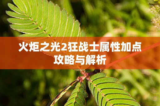 火炬之光2狂战士属性加点攻略与解析图片