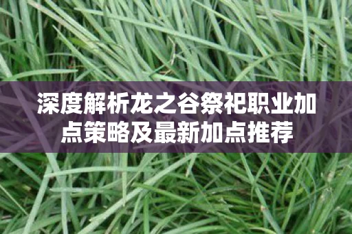 深度解析龙之谷祭祀职业加点策略及最新加点推荐图片