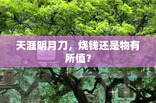烧钱还是物有所值图片