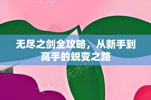 从新手到高手的蜕变之路图片