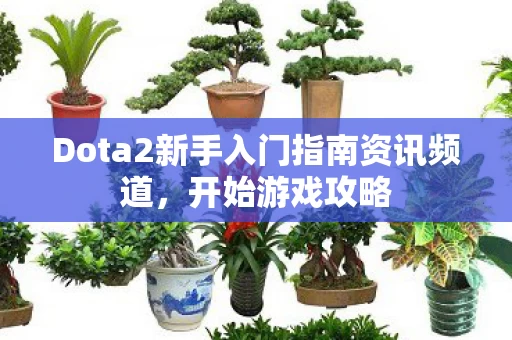 Dota2新手入门指南资讯频道图片