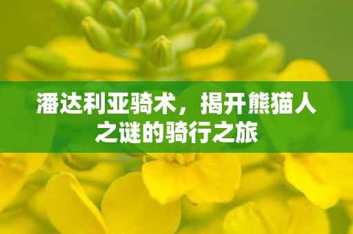 揭开熊猫人之谜的骑行之旅图片