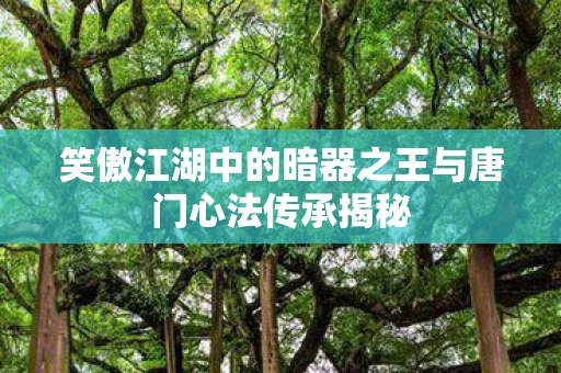 笑傲江湖中的暗器之王与唐门心法传承揭秘图片