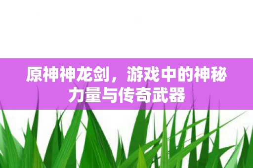 游戏中的神秘力量与传奇武器图片