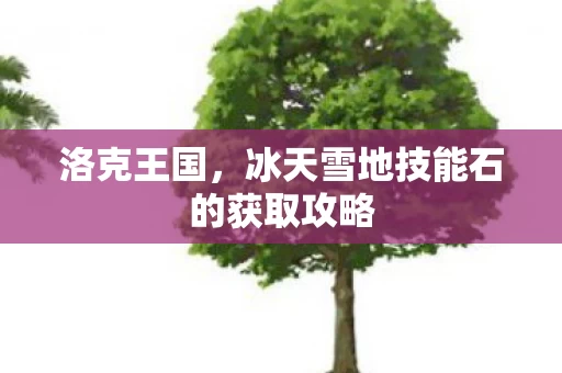 冰天雪地技能石的获取攻略图片