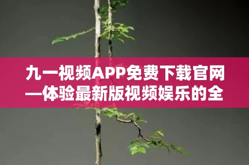 体验最新版视频娱乐的全新世界图片