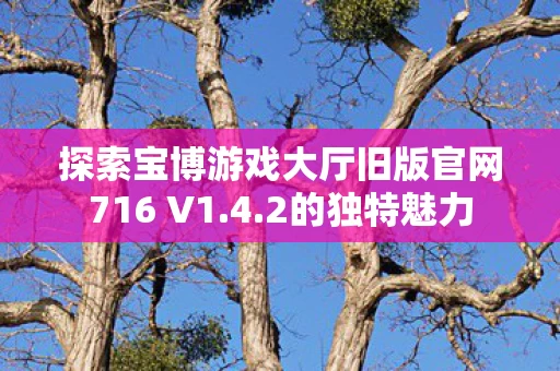 探索宝博游戏大厅旧版官网716 V1图片