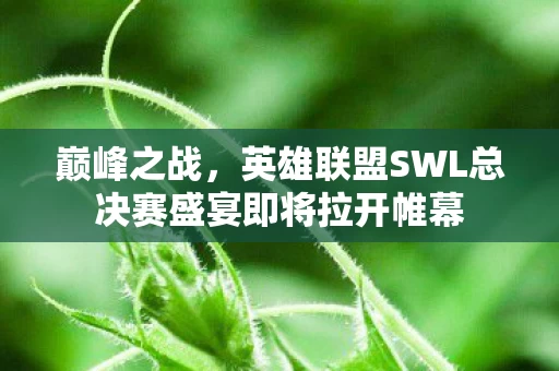 英雄联盟SWL总决赛盛宴即将拉开帷幕图片
