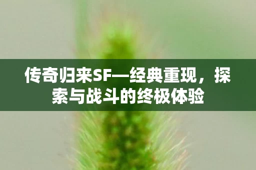 探索与战斗的终极体验图片