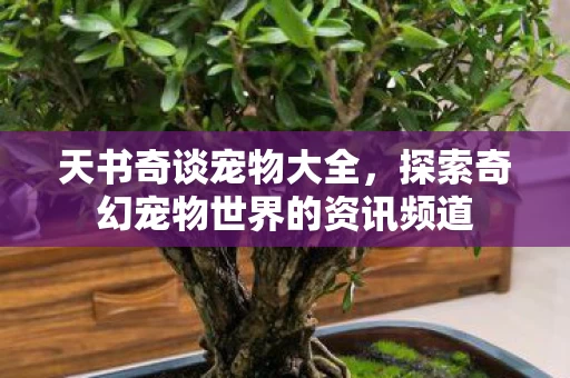 探索奇幻宠物世界的资讯频道图片