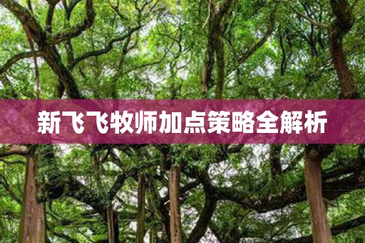 新飞飞牧师加点策略全解析图片