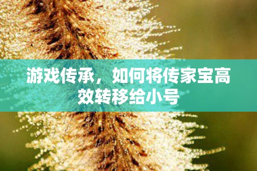如何将传家宝高效转移给小号图片