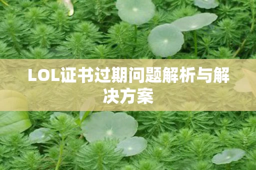 LOL证书过期问题解析与解决方案图片