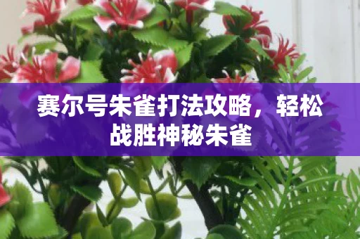 赛尔号朱雀打法攻略图片