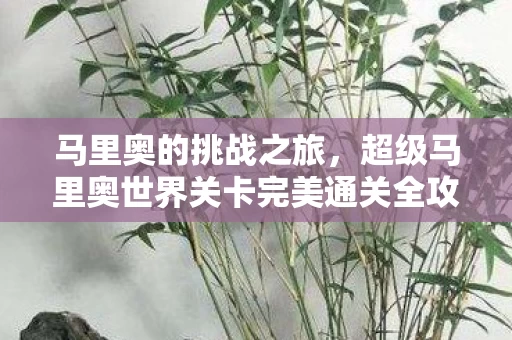超级马里奥世界关卡完美通关全攻略图片