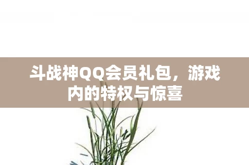 斗战神QQ会员礼包图片