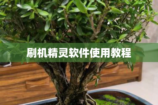 刷机精灵软件使用教程 刷机精灵软件使用教程