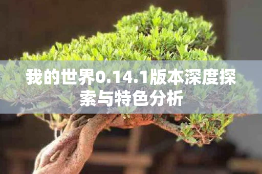 1版本深度探索与特色分析图片