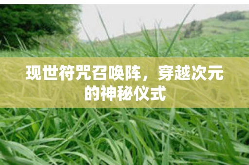 穿越次元的神秘仪式图片