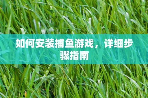 如何安装捕鱼游戏图片